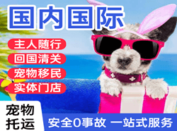 桃仙航空空运国际宠物托运 【国